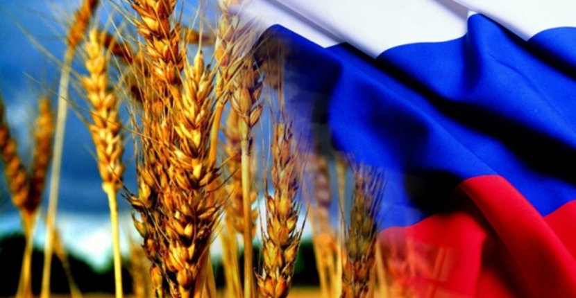 Рейтер: Сирия приобрела у РФ 1 миллион тонн пшеницы